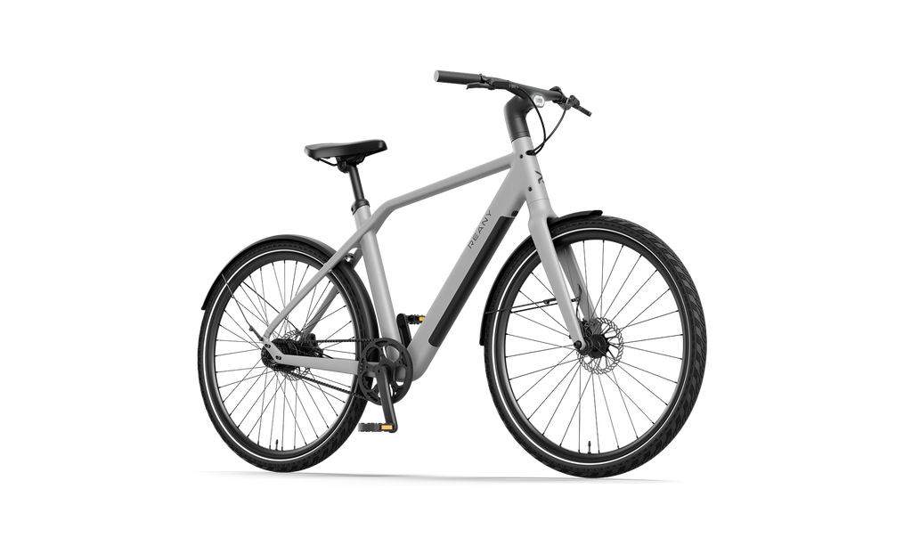 Reany N1 - Stone gray