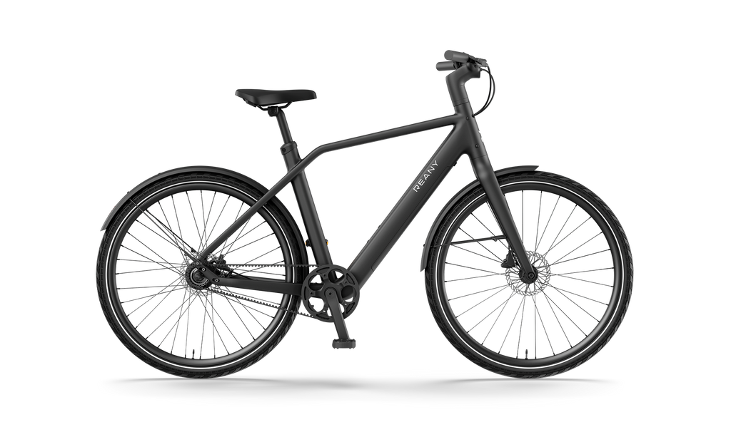 Reany N1 - zwart
