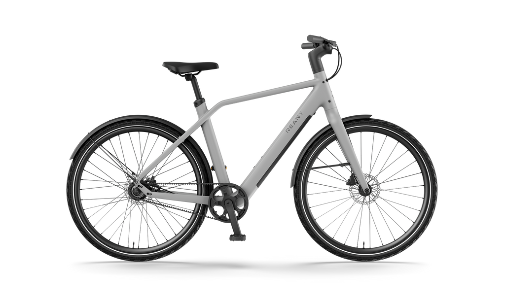 Reany N1 - Stone gray