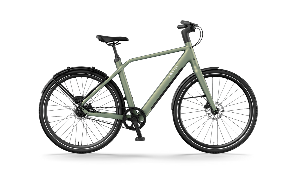 Reany N1 - GT saga green