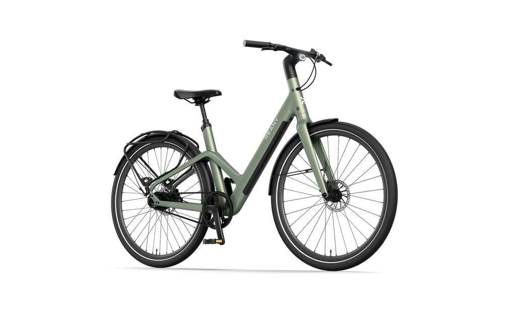 Reany W1 - GT saga green