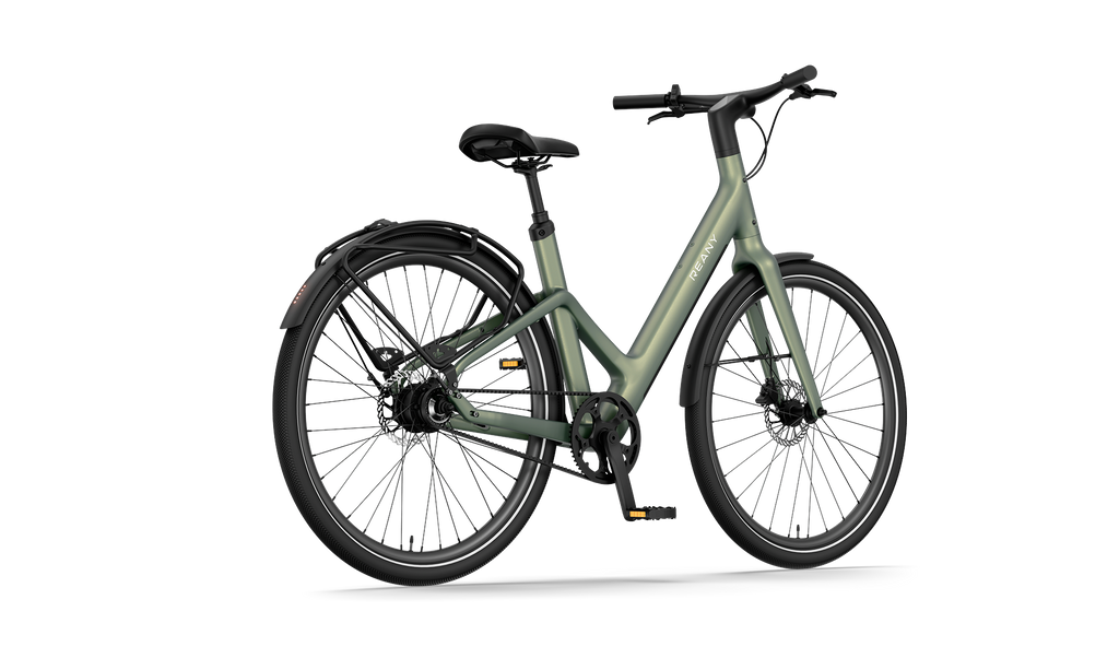 Reany W1 - GT saga green