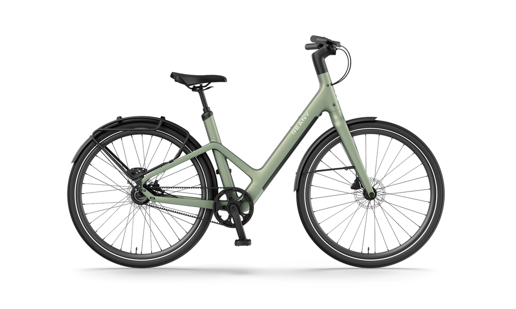 Reany W1 - GT saga green