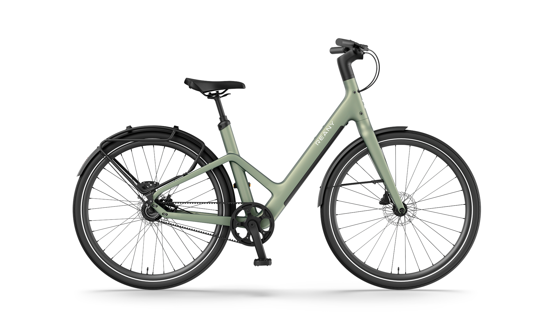 Reany W1 - GT saga green